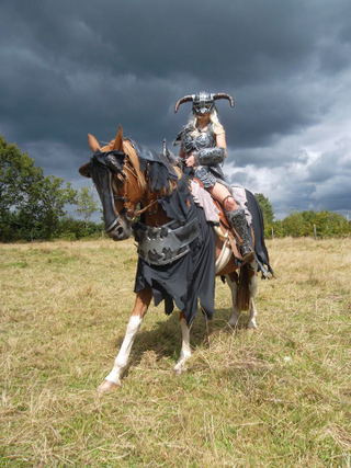 Illustration for article titled The Best Cosplay Of 2015
